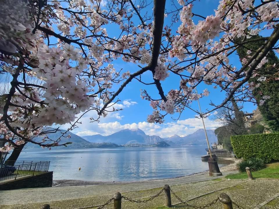 Apartment L'Ulivo Lake View Private Road 5 Kilometers From Varenna Lierna Exterior foto